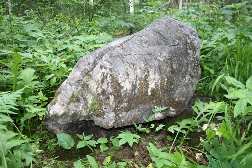 Ҡолонташ, Ташҡолон, Ҡолоҡай (Камень-жеребенок). Белорецкий район, между деревнями Искушта и Ассы. Автор фото: Абсалямова Ю.А.